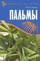 Комнатные растения. Пальмы., Куликова Марина Владимировна 