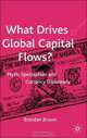 What Drives Global Capital Flows?: Myth, Speculation and Currency Diplomacy, Brendan Brown 
