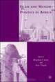 Islam and Muslim Politics in Africa, 