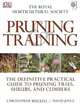 Pruning Training, Christopher Brickell, David Joyce 