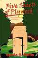 Five Sheets of Plywood: A Practical Guide for Starting Your Own Business, Spiros G. Raftis 