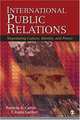 International Public Relations: Negotiating Culture, Identity, and Power, Patricia A. Curtin, T. Kenn Gaither 