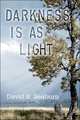 Darkness is as Light, David B. Seaburn 