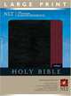 Premium Slimline Reference Bible NLT, LP (Premium Slimline LP: Nltse), 
