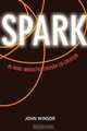 SPARK: Be More Innovative Through Co-Creation, John Winsor 