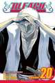 Bleach, Volume 20, 