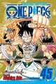 One Piece, Vol. 45, Eiichirio Oda 