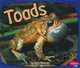 Toads, Alyse Sweeney 