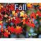 Fall (Seasons (Acorn)), Sian Smith 
