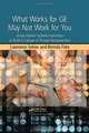 What Works for GE May Not Work for You: Using Human Systems Dynamics to Build a Culture of Process Improvement, Lawrence Solow, Brenda Fake 