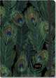 2013 Feathers Compact Engagement Calendar (16-month Weekly Planner), Peter Pauper Press 