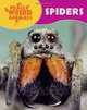 Spiders (Really Weird Animals), Clare Hibbert 
