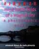 Firenze: mind battle fields of a magical city, Emanuel Dimas de Melo Pimenta 