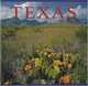 Texas (America Series), Tanya Lloyd Kyi 