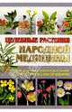 Целебные растения народной медицины. 2-е изд., Лавренов Владимир Каллистратович 