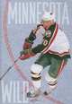 Minnesota Wild, Lisa M. Bolt 