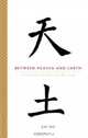 Between Heaven and Earth : A History of Chinese Writing, Shi Bo 