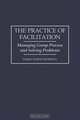 The Practice of Facilitation: Managing Group Process and Solving Problems (pb) (GPG), HARRY WEBNE-BEHRMAN 