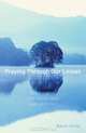 Praying Through Our Losses: Meditations for Those Who Are Grieving, Wayne Simsic 