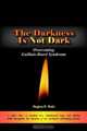 The Darkness Is Not Dark: Overcoming Guillain-Barre Syndrome, Regina R. Roth 