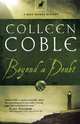 Beyond a Doubt (Rock Harbor Series #2), Colleen Coble 