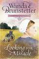 Looking for a Miracle (Brides of Lancaster County #2), Wanda E. Brunstetter 