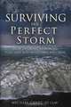 Surviving The Perfect Storm: How To Create A Financial Plan That will Withstand Any Crisis, Michael Canet JD LLM 