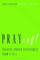 PRAYzing!: Creative Prayer Experiences from A to Z, Daniel Henderson 