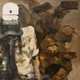 World War Robot Volume 2, Ashley Wood 