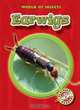 Earwigs (World of Insects), Colleen Sexton 
