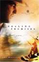 Healing Promises (Defenders of Hope Series #2), Amy N. Wallace 