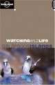 Watching Wildlife Galapagos Islands, David Andrew 