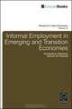 Informal Employment in Emerging and Transition Economies (Research in Labor Economics), Konstantinos Tatsiramos 