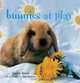 Bunnies at Play, Sophie Bevan 