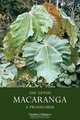 The Genus Macaranga: A Prodromus, Tiimothy C Whitmore 