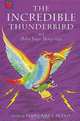 The Incredible Thunderbird (Magical Tales from Around the World. S), Margaret Mayo 