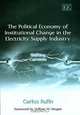 The Political Economy of Institutional Change in the Electricity Supply Industry: Shifting Currents, Carlos Rufin, William W. Hogan 