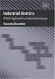 Industrial Districts: A New Approach To Industrial Change, Giacomo Becattini 