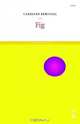 Fig: Goan Atom 2, Caroline Bergvall 