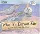 What Mr Darwin Saw, 