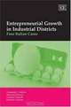 Entrepreneurial Growth in Industrial Districts: Four Italian Cases, Fernando G. Alberti 