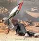 The Peace Business: Money and Power in the Palestine-Israel Conflict, Markus E. Bouillon 