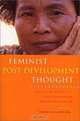 Feminist Post-Development Thought: Rethinking Modernity, Post-Colonialism and Representation, Kriemild Saunders 