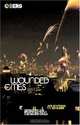 Wounded Cities : Destruction and Reconstruction in a Globalized World, 