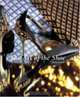 The Art Of The Shoe, Marie-Josephe Bossan 