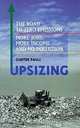 Upsizing: The Road to Zero Emissions, More Jobs, More Income and No Pollution, Gunter Pauli 