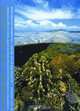 Living Mirrors: A Corral Reef Adventure, Jack Stephens 