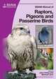 Manual Of Raptors, Pigeons And Passerine Birds, 