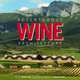Adventurous Wine Architecture, Michael Webb 