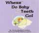 Where Do Baby Teeth Go?, Denise Mrakitsch Jenkins 